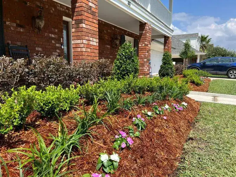 Lush garden bed with vibrant flowering plants and neatly trimmed shrubbery