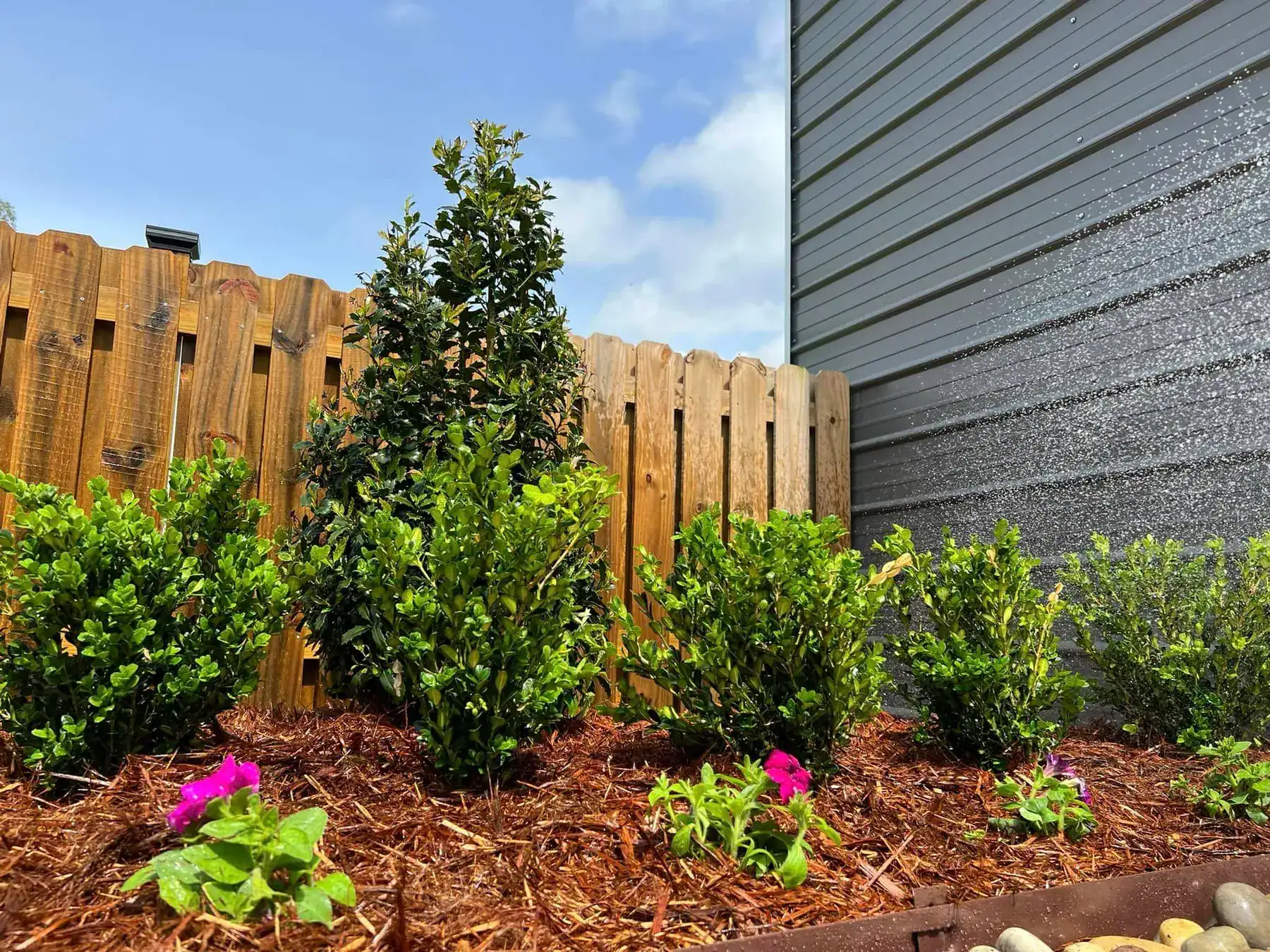Professional landscaping in the Westbank New Orleans area.