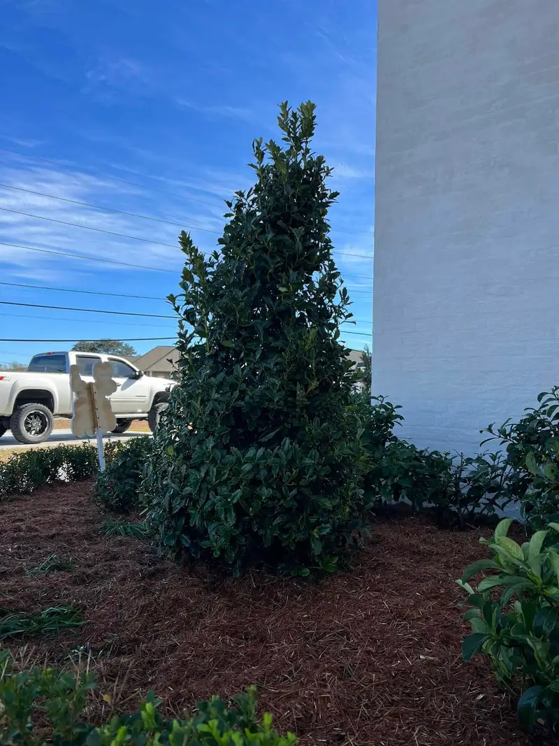 Beautiful hardscaping landscape crafted and installed by Southern Grounds, LLC in the greater new orleans area