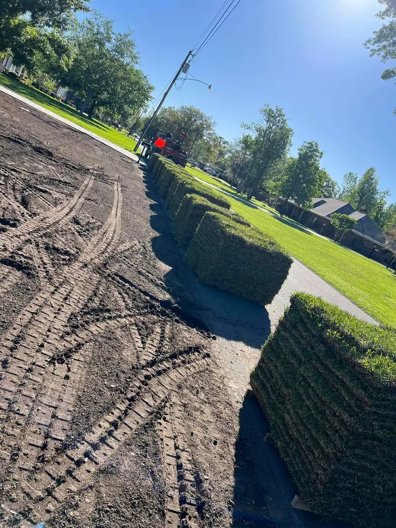 Fresh sod installation by Southern Grounds LLC, transforming a New Orleans backyard with lush, green, and healthy grass.