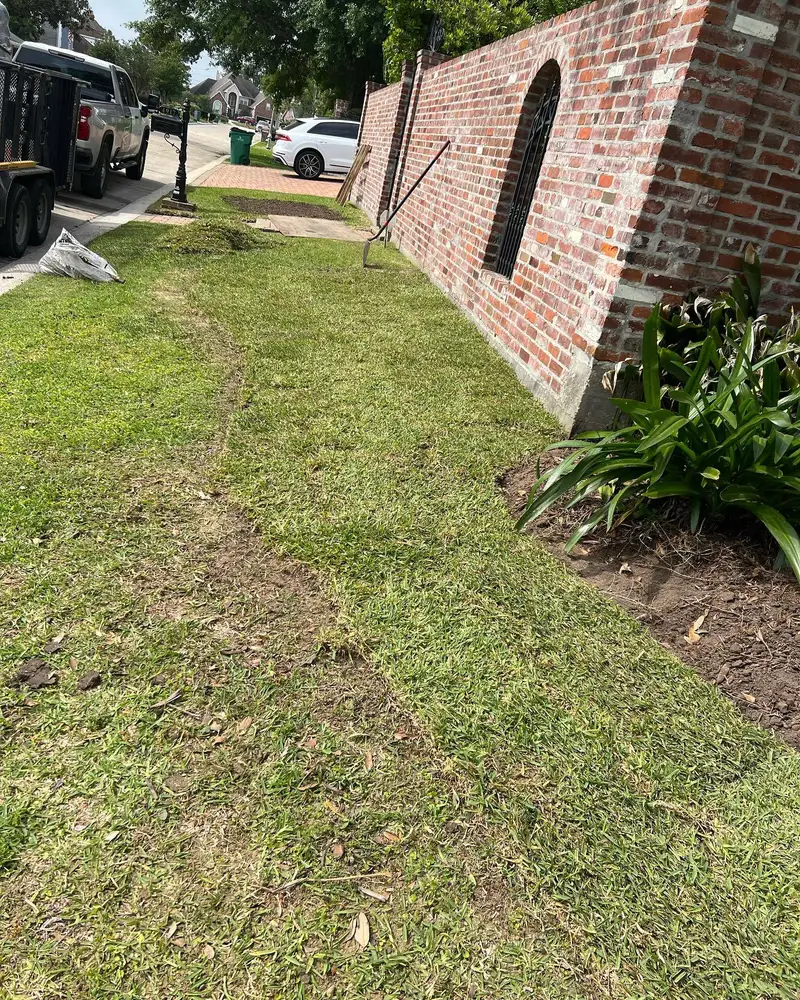 Fresh sod installation by Southern Grounds LLC, transforming a New Orleans backyard with lush, green, and healthy grass.