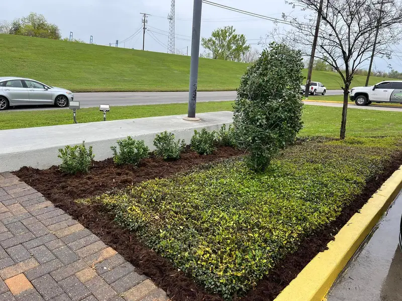 Beautiful hardscaping landscape crafted and installed by Southern Grounds, LLC in the greater new orleans area