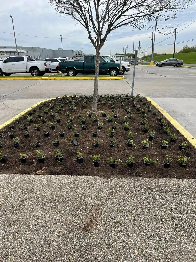 Beautiful hardscaping landscape crafted and installed by Southern Grounds, LLC in the greater new orleans area