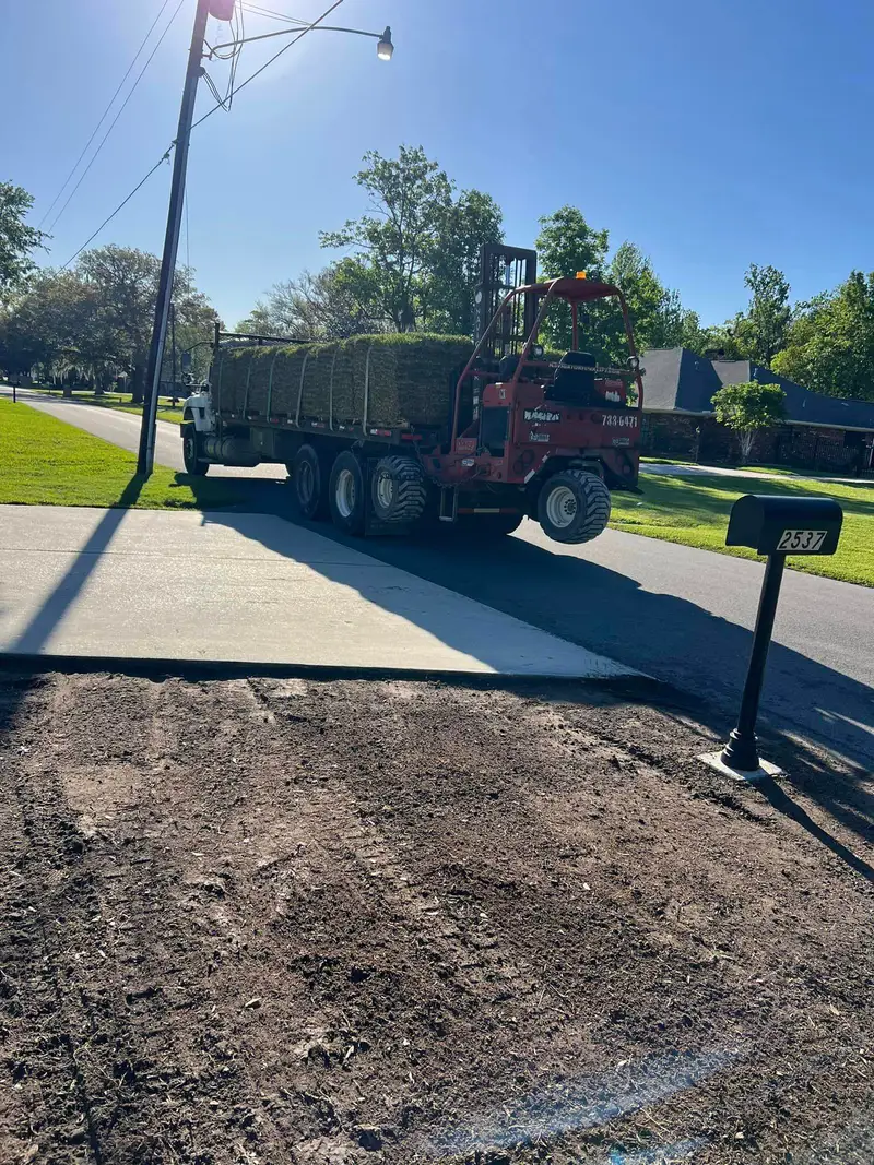 Fresh sod installation by Southern Grounds LLC, transforming a New Orleans backyard with lush, green, and healthy grass.