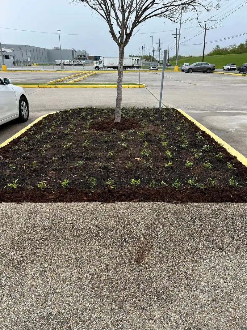 Beautiful hardscaping landscape crafted and installed by Southern Grounds, LLC in the greater new orleans area