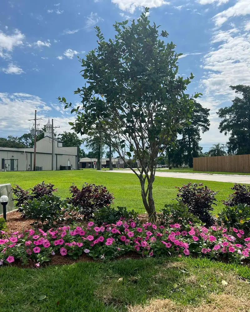 Beautiful hardscaping landscape crafted and installed by Southern Grounds, LLC in the greater new orleans area