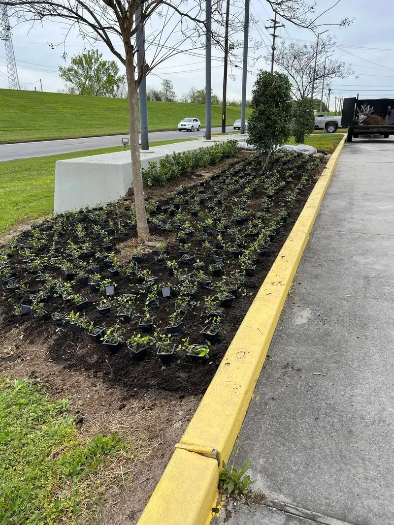 Beautiful hardscaping landscape crafted and installed by Southern Grounds, LLC in the greater new orleans area