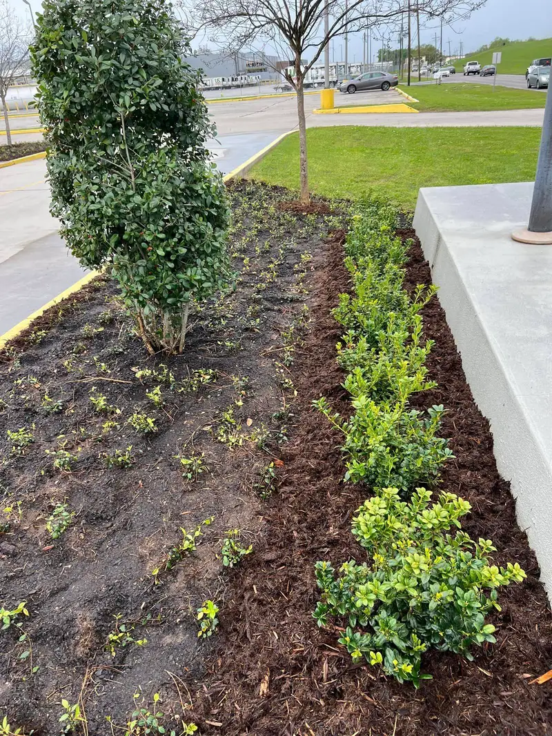 Beautiful hardscaping landscape crafted and installed by Southern Grounds, LLC in the greater new orleans area