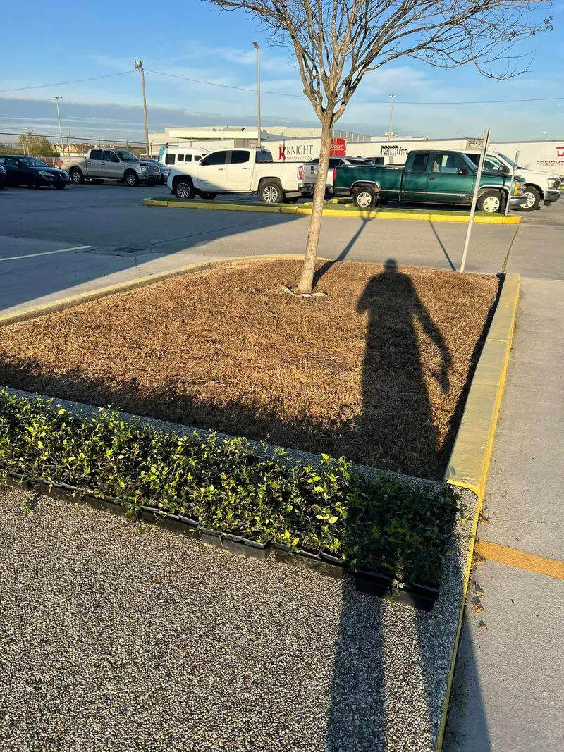 Beautiful hardscaping landscape crafted and installed by Southern Grounds, LLC in the greater new orleans area