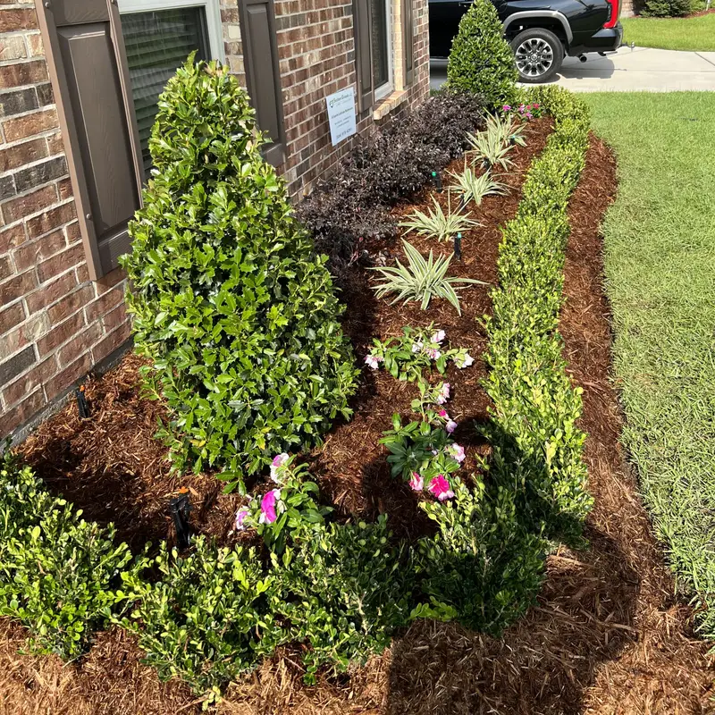 Garden detail featured with end-of-summer gardening tips for Southeast Louisiana