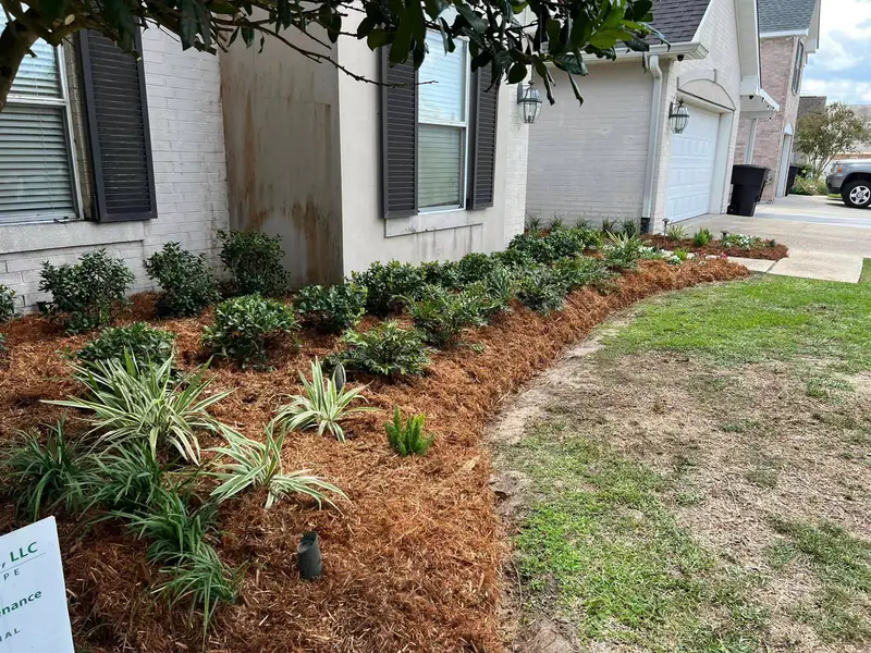 Lush garden bed with vibrant flowering plants and neatly trimmed shrubbery, meticulously maintained by Southern Grounds LLC in Marrero, LA.