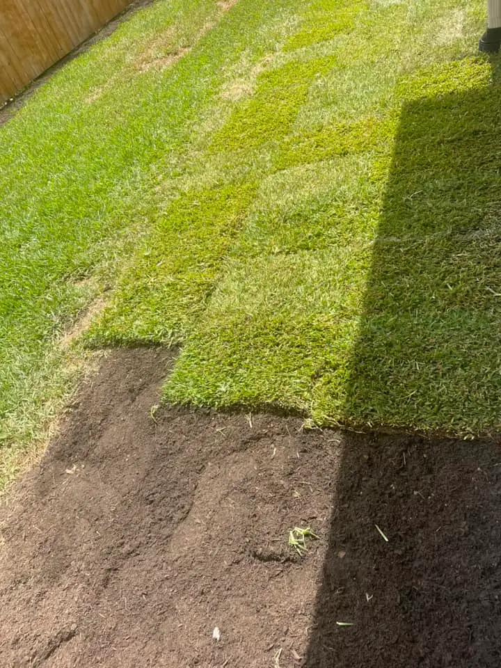 A residential backyard prepared for new sod installation, featuring bare soil ready for transformation, serviced by Southern Grounds LLC.