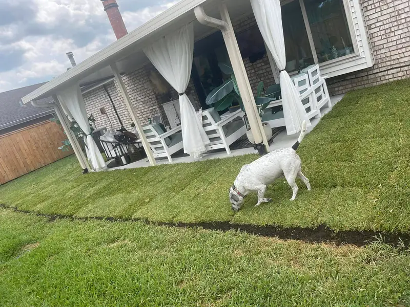 A residential backyard prepared for new sod installation, featuring bare soil ready for transformation, serviced by Southern Grounds LLC.