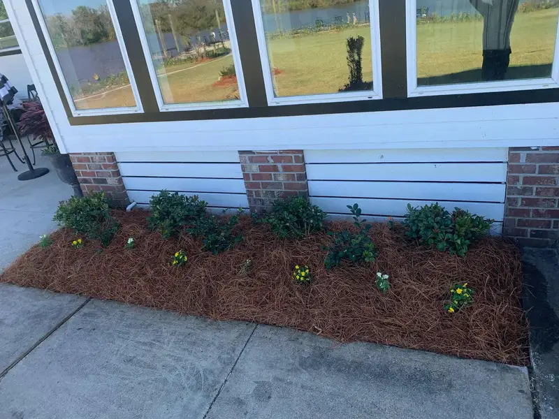 Southern Grounds LLC's landscaping work displaying a perfectly manicured garden with a mix of ornamental shrubs and flowering plants in New Orleans.