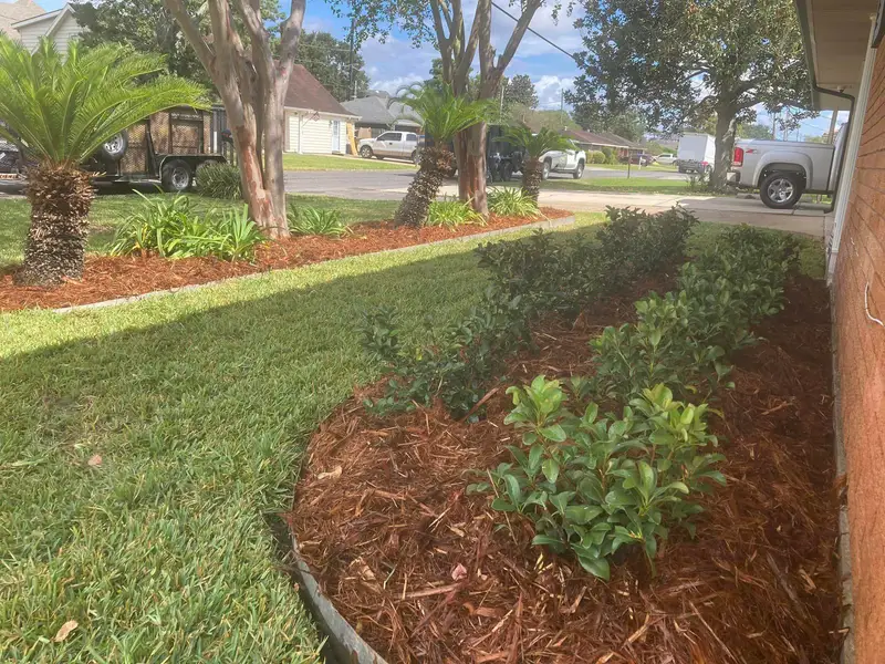 Landscaping project by Southern Grounds LLC