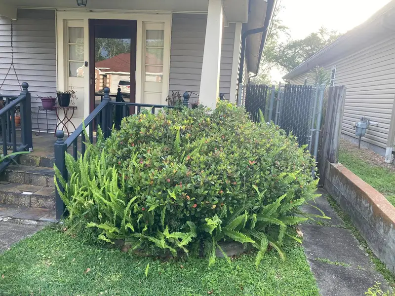 Southern Grounds LLC's landscaping work displaying a perfectly manicured garden with a mix of ornamental shrubs and flowering plants in New Orleans