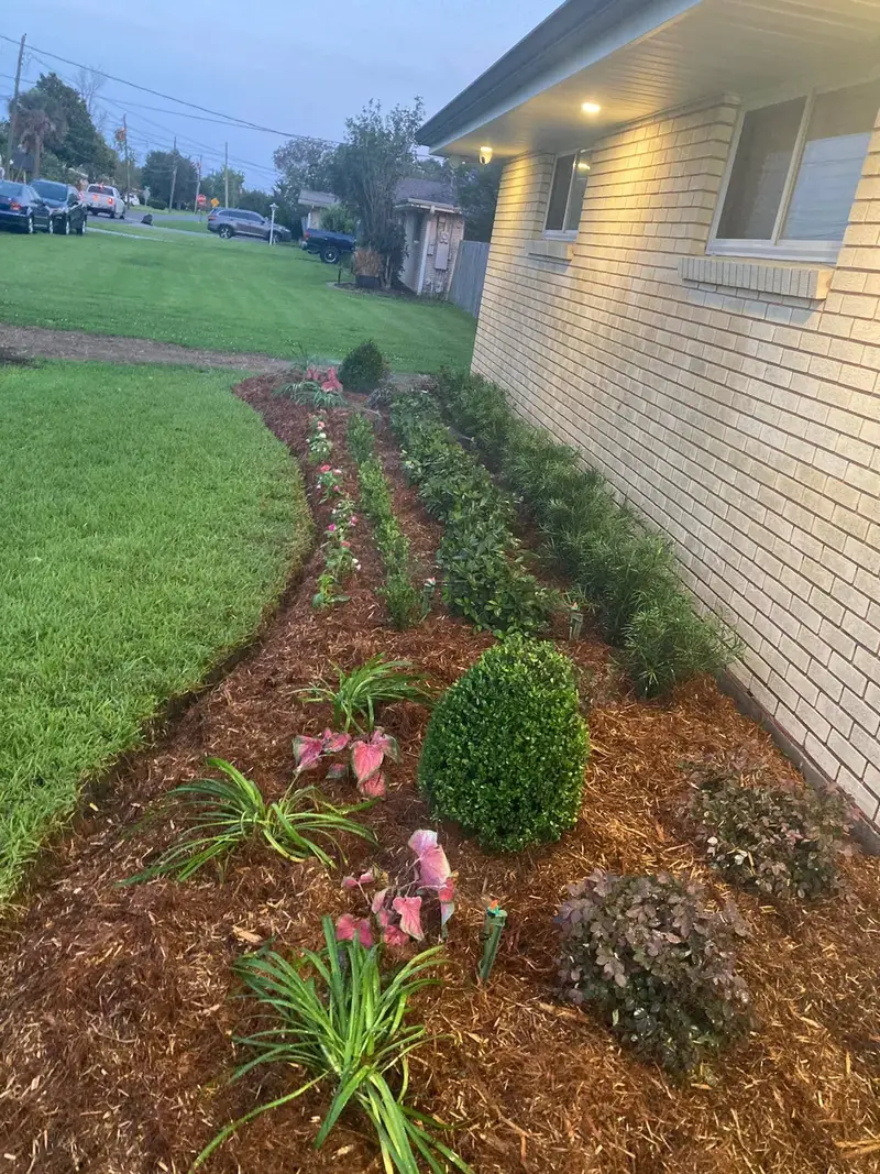 Expertly designed backyard landscape with a variety of lush green plants and trees, showcasing Southern Grounds LLC's attention to detail in New Orleans.