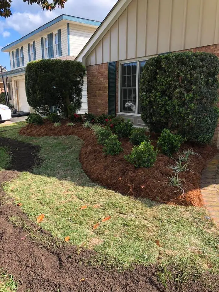 Beautiful landscaping flowerbeds with mulch crafted and installed by Southern Grounds, LLC in the greater new orleans area