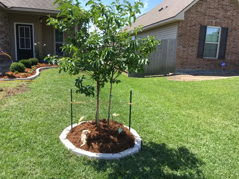 Beautiful hardscaping landscape crafted and installed by Southern Grounds, LLC in the greater new orleans area