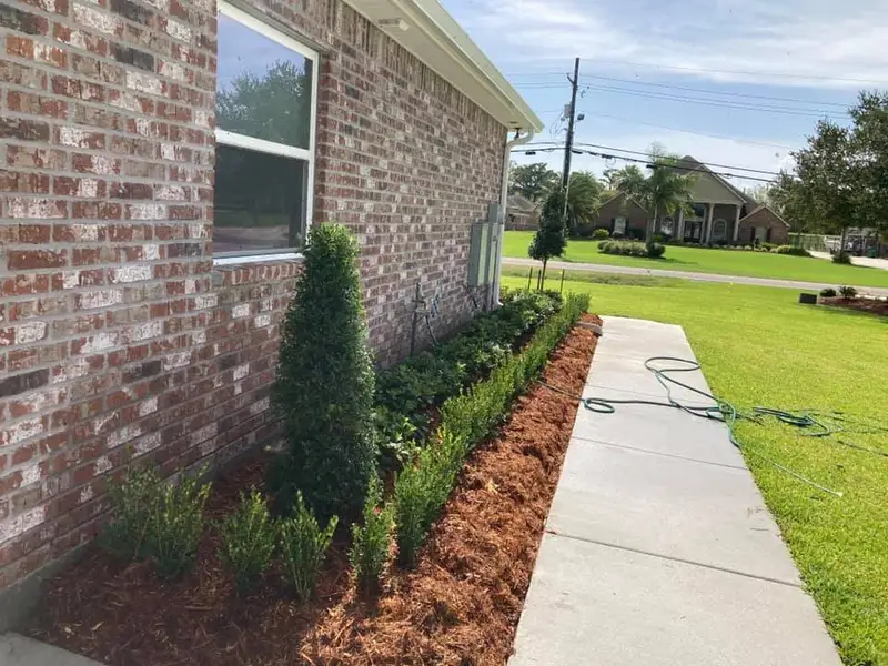 Beautiful landscaping flowerbeds with mulch crafted and installed by Southern Grounds, LLC in the greater new orleans area