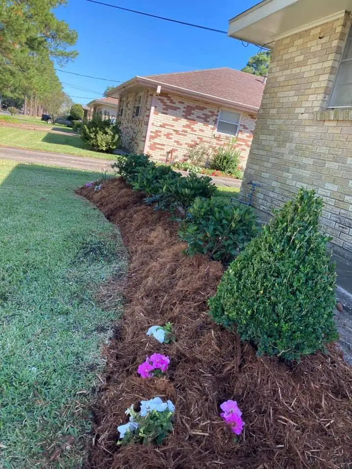 Beautiful landscaping flowerbeds with mulch crafted and installed by Southern Grounds, LLC in the greater new orleans area