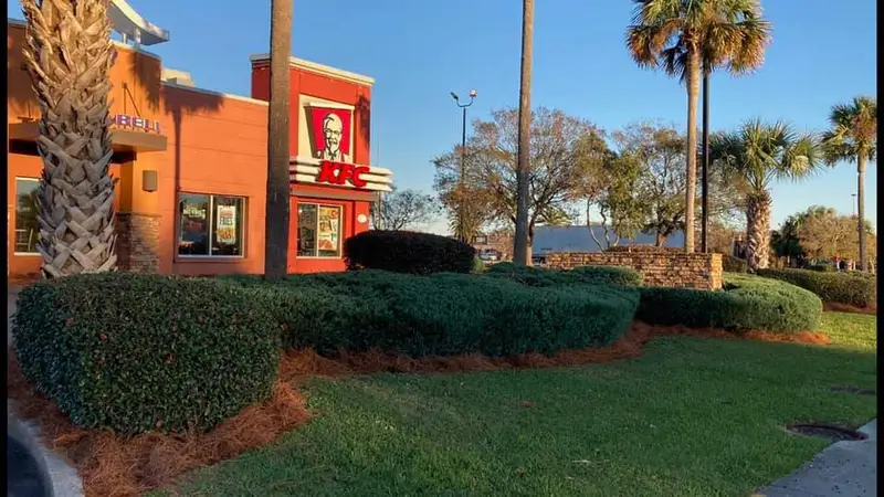 Beautiful landscaping flowerbeds with mulch crafted and installed by Southern Grounds, LLC in the greater new orleans area