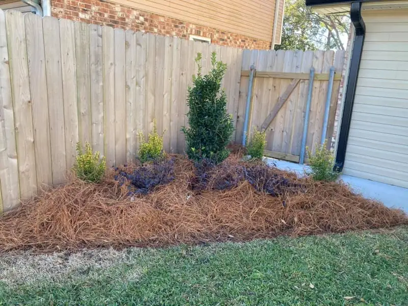 Beautiful landscaping flowerbeds with mulch crafted and installed by Southern Grounds, LLC in the greater new orleans area