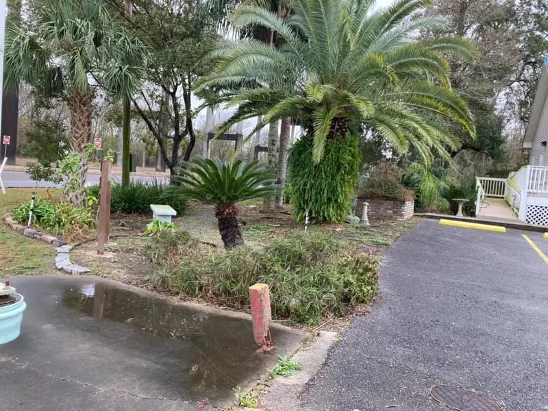 Beautiful landscaping flowerbeds with mulch crafted and installed by Southern Grounds, LLC in the greater new orleans area