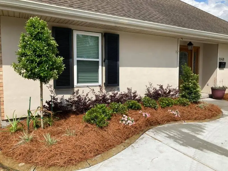 Beautiful landscaping flowerbeds with mulch crafted and installed by Southern Grounds, LLC in the greater new orleans area